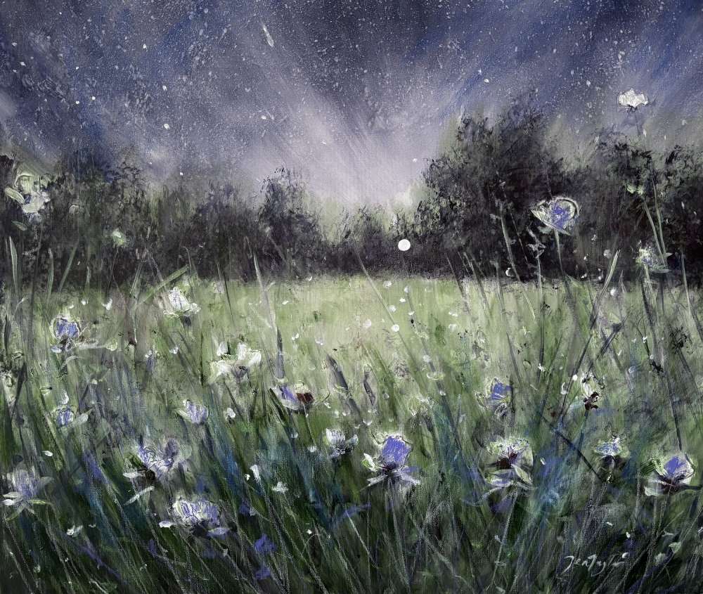 A Dream Under The Stars