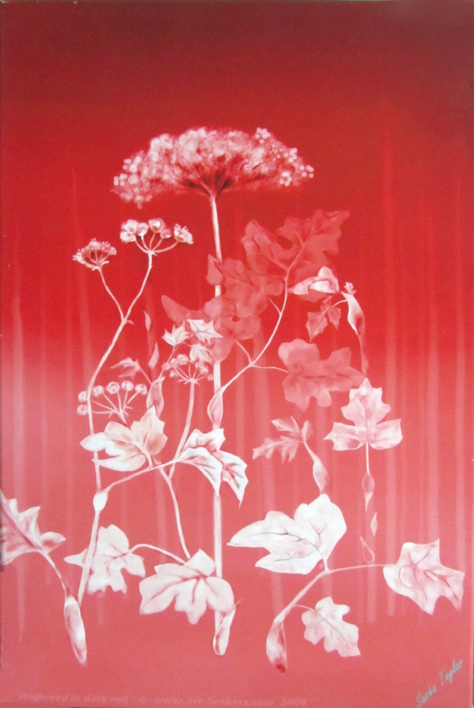 Hogweed in red