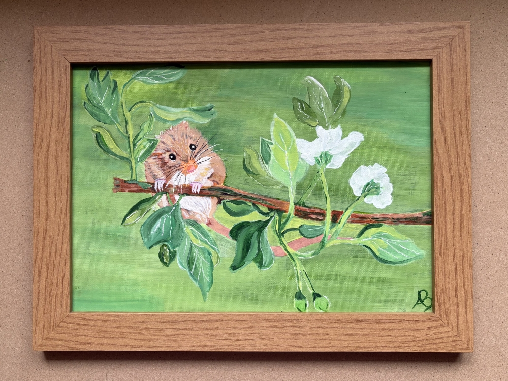 A Dormouse Hanging Out