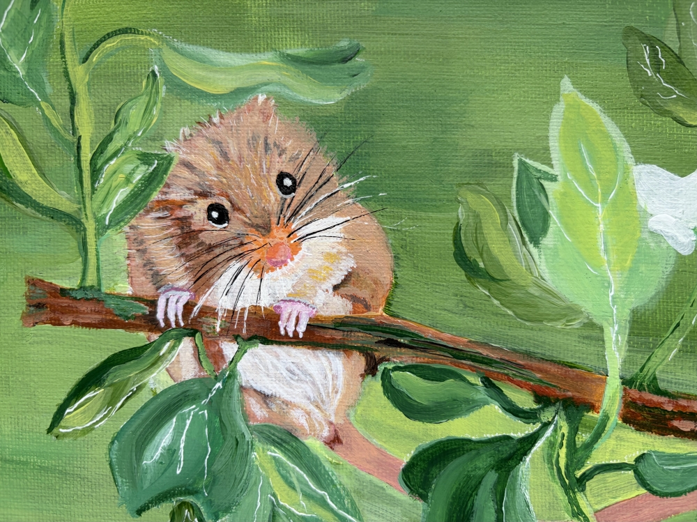 A Dormouse Hanging Out