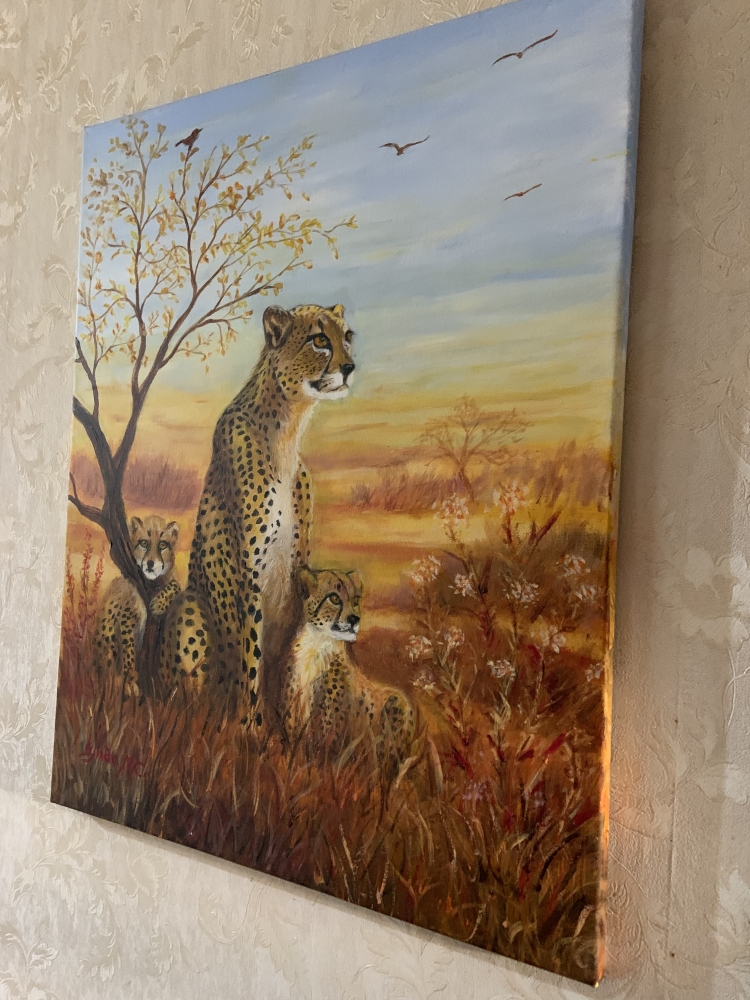 CHEETAH FAMILY