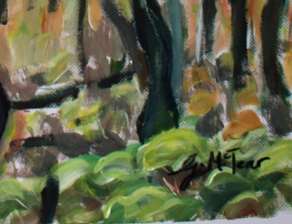 Dartmoor Trees