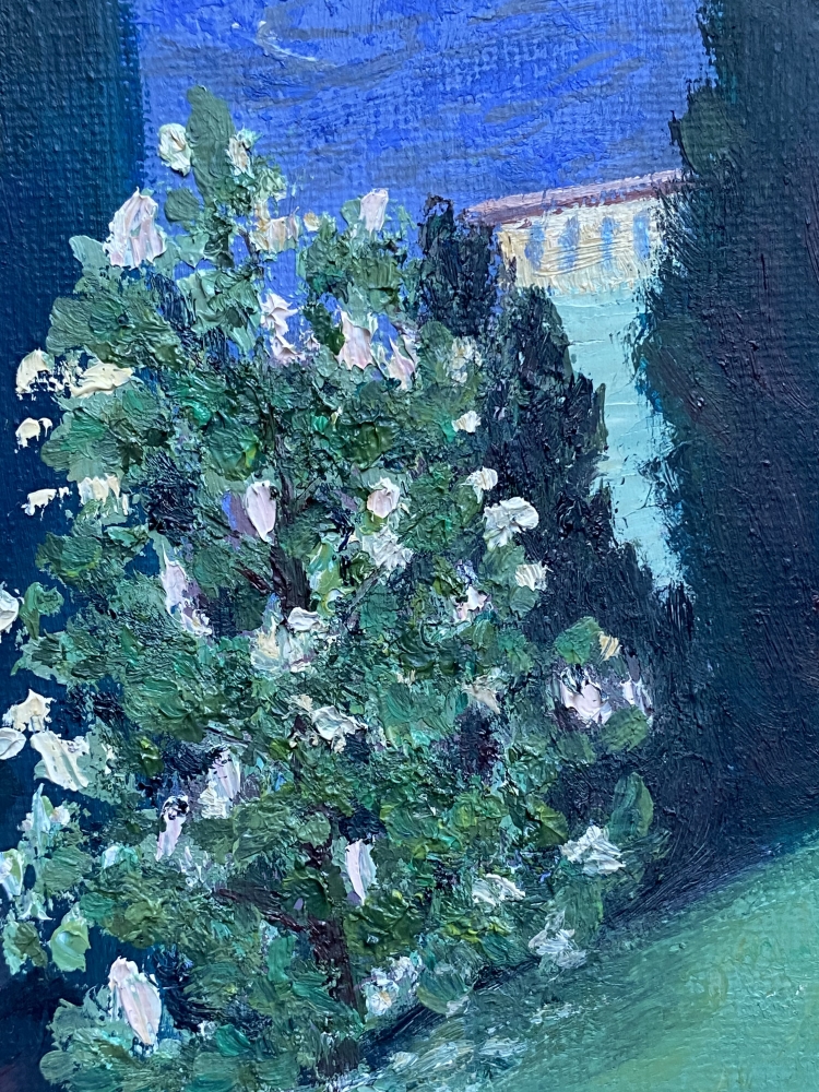 „Cypress dreams“ 