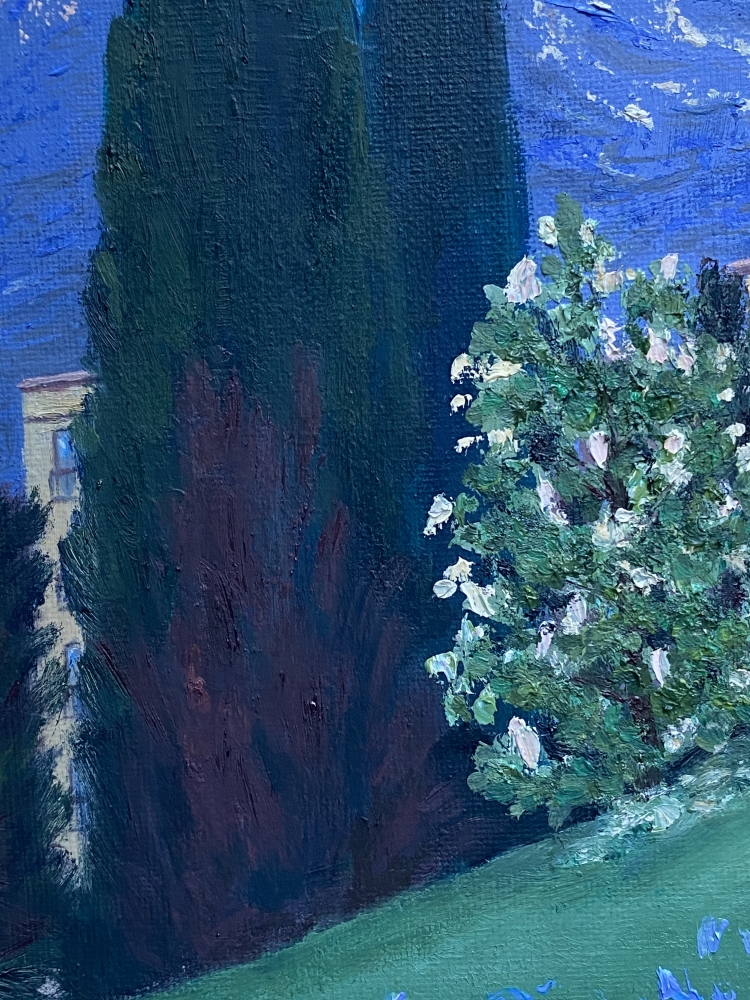 „Cypress dreams“ 