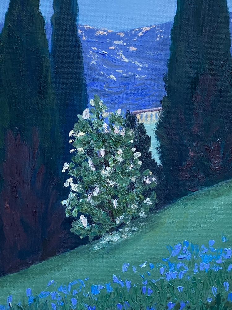 „Cypress dreams“ 