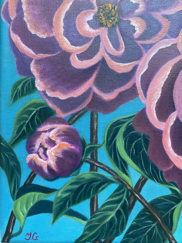 «Peonies“