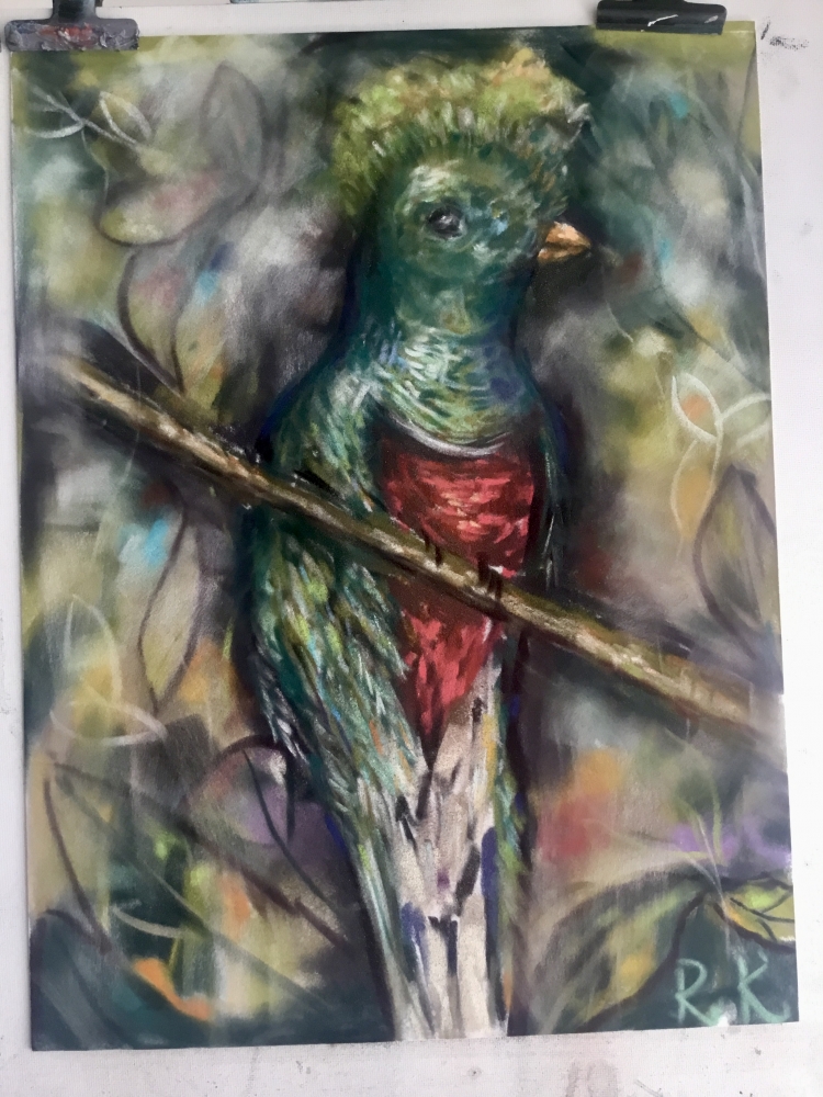 Quetzal bird