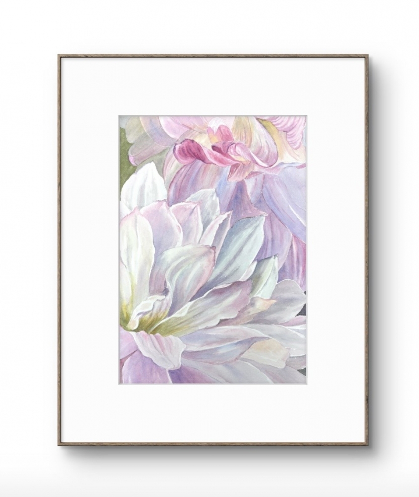 DELICATE DAHLIAS