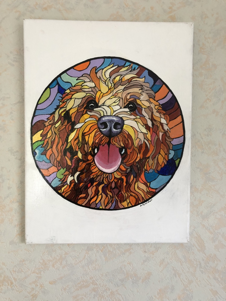 Scruff the puppy