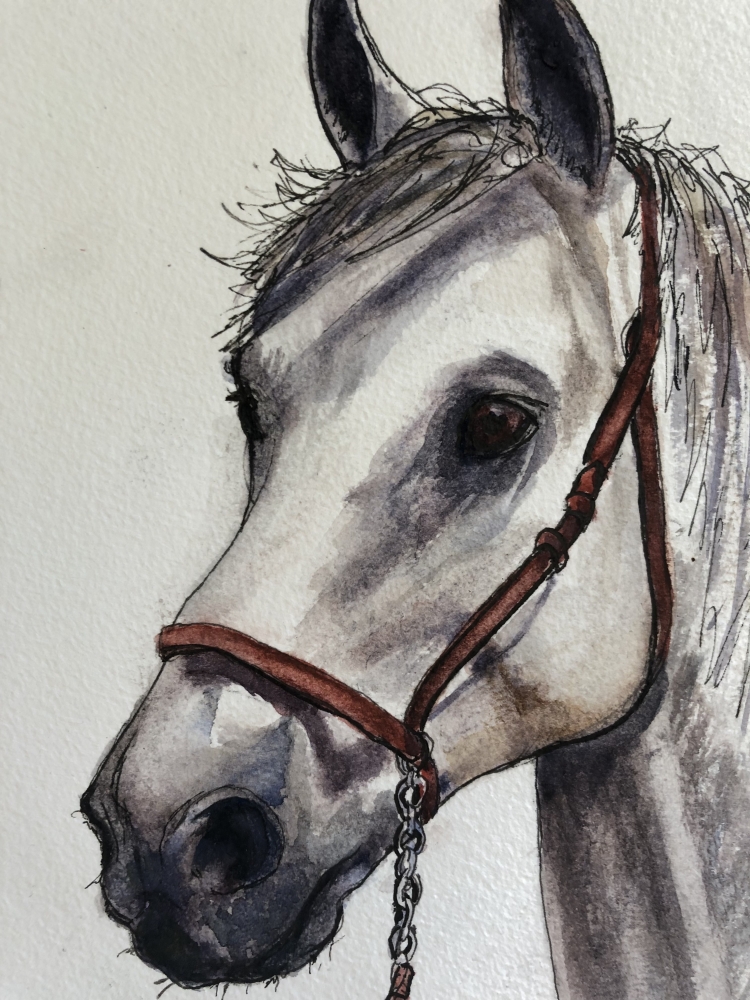 Horse head