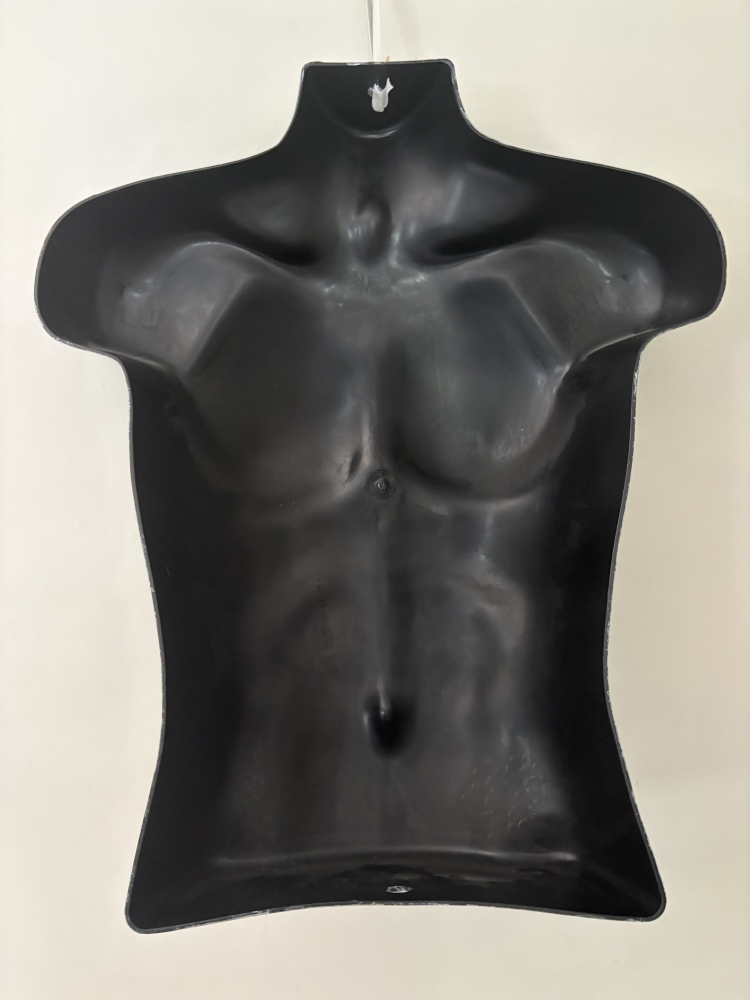 Autumn leaves Torso