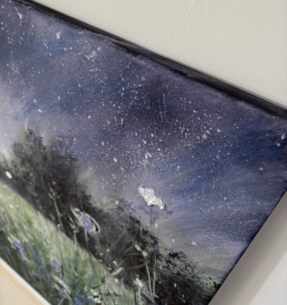 A Dream Under The Stars