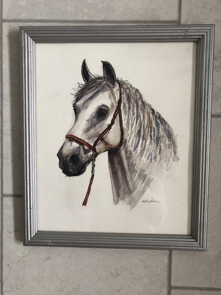 Horse head