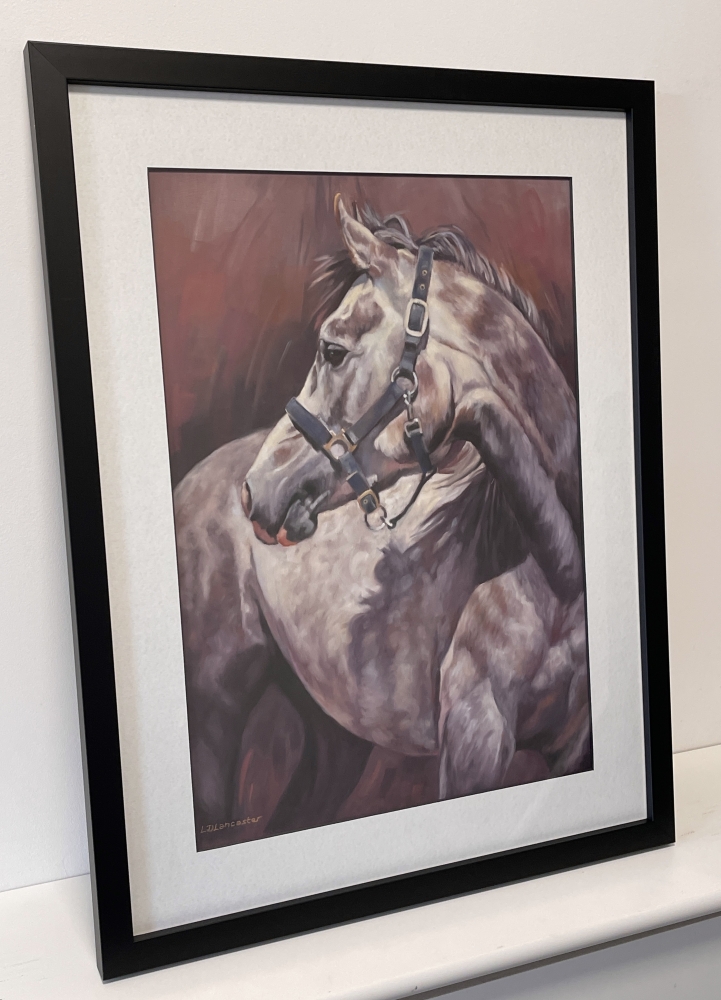 Looking Back - Grey Horse