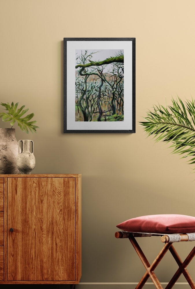 Dartmoor Trees