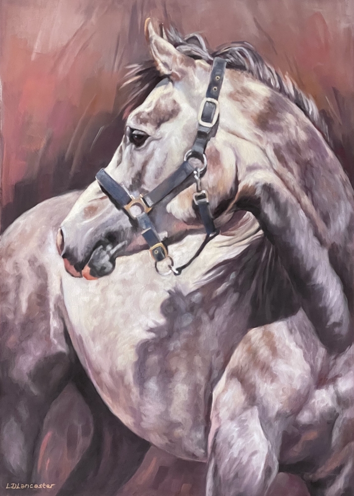Looking Back - Grey Horse