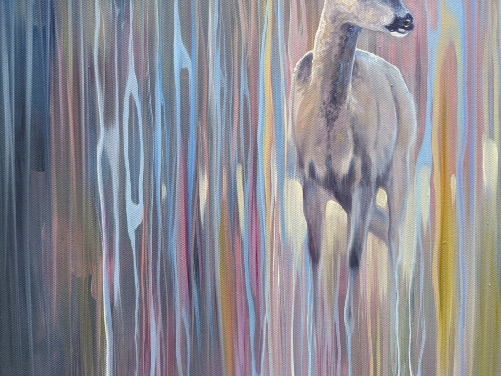 Looking Beyond