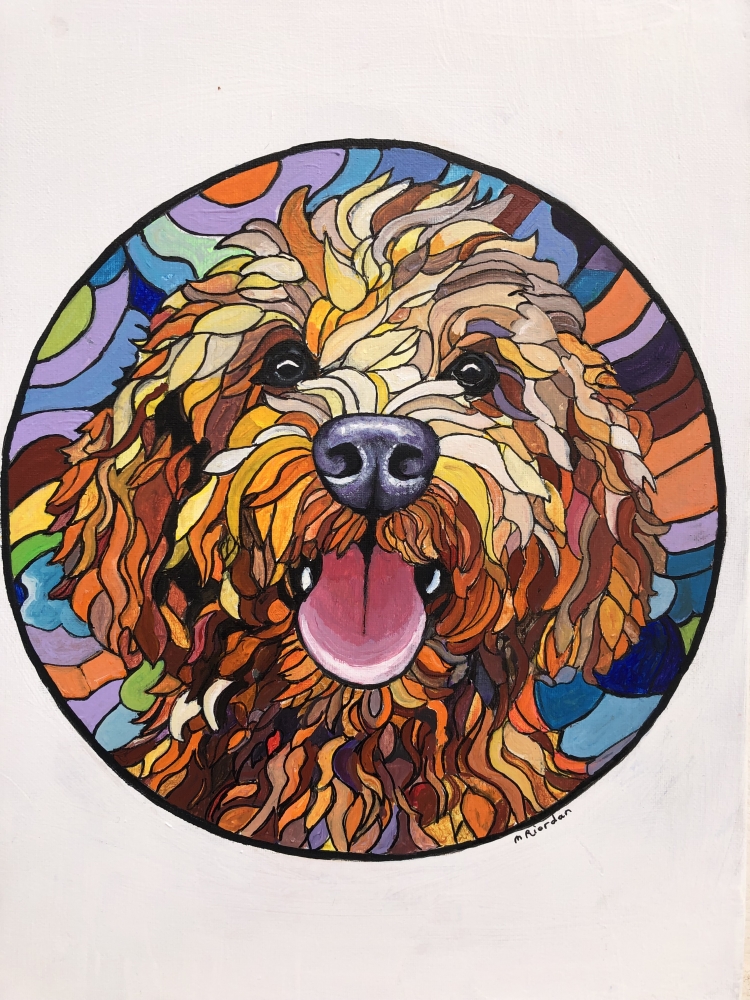 Scruff the puppy