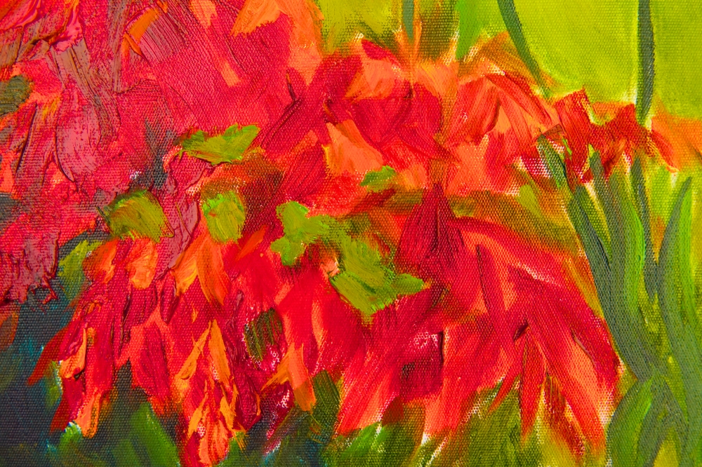 Red Acer in the Sunshine