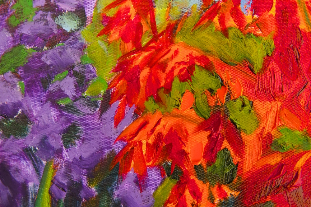 Red Acer in the Sunshine