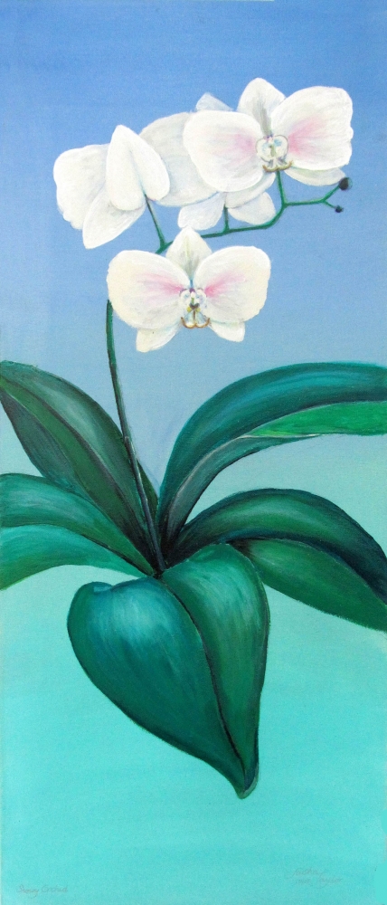 Snowy orchid