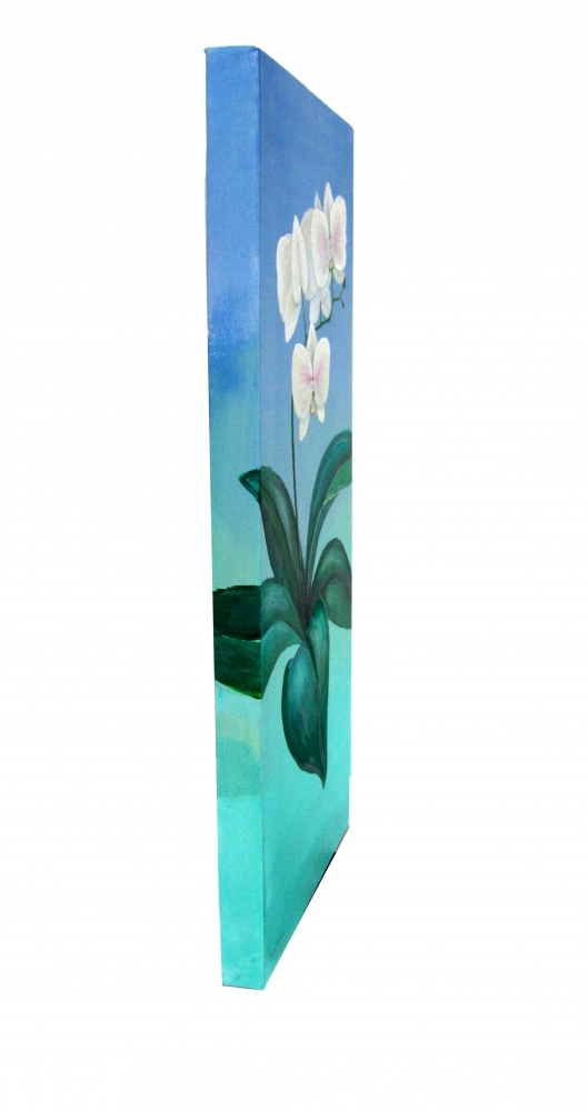 Snowy orchid