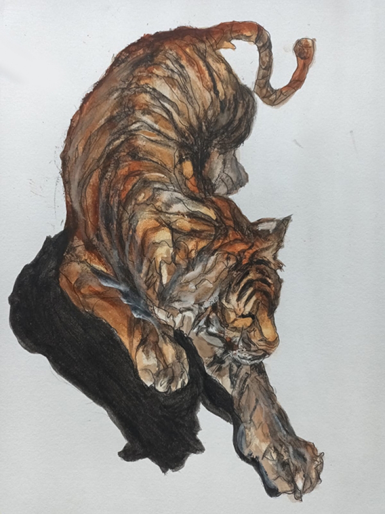 \"Tiger - Golden Stretch\"