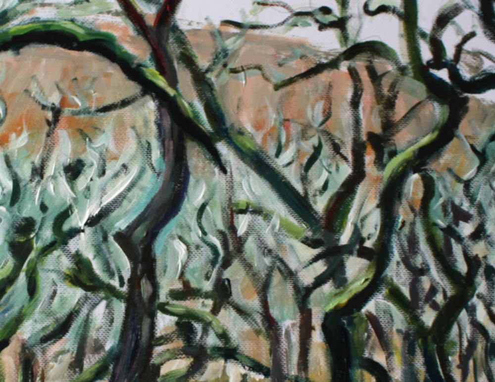 Dartmoor Trees