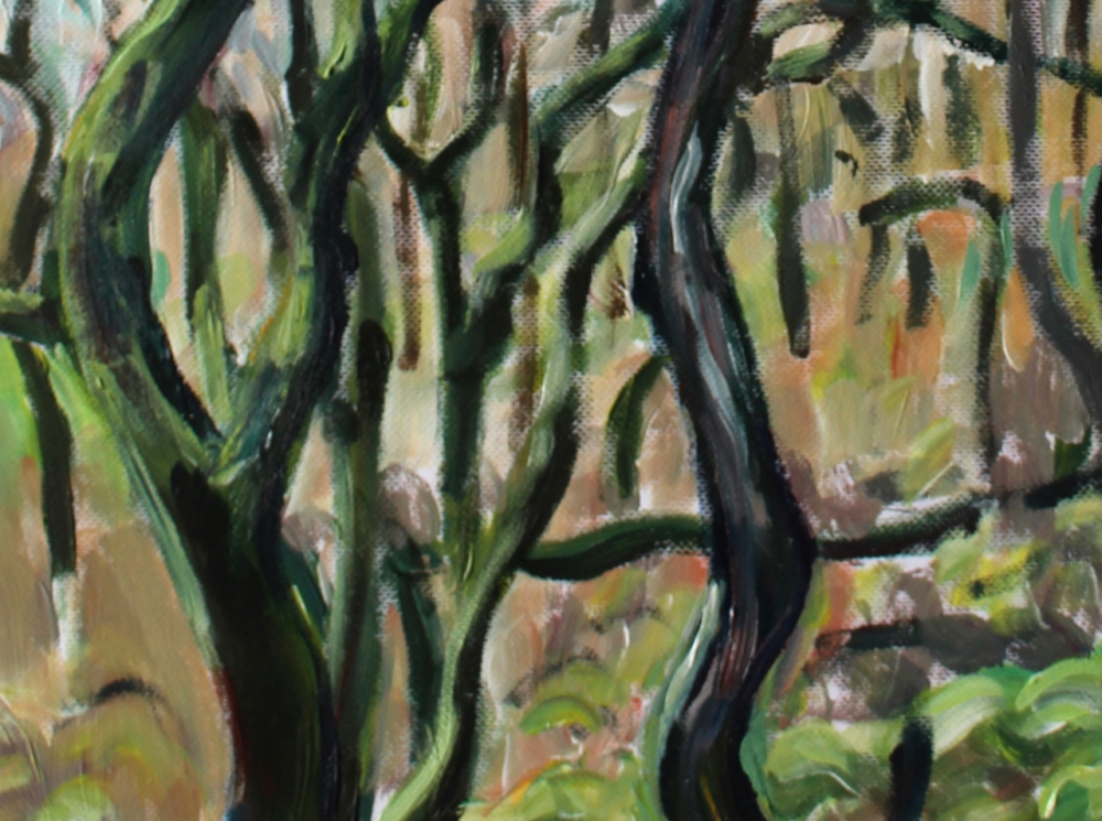 Dartmoor Trees