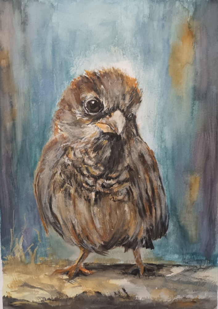 \"Sparrow Study\"