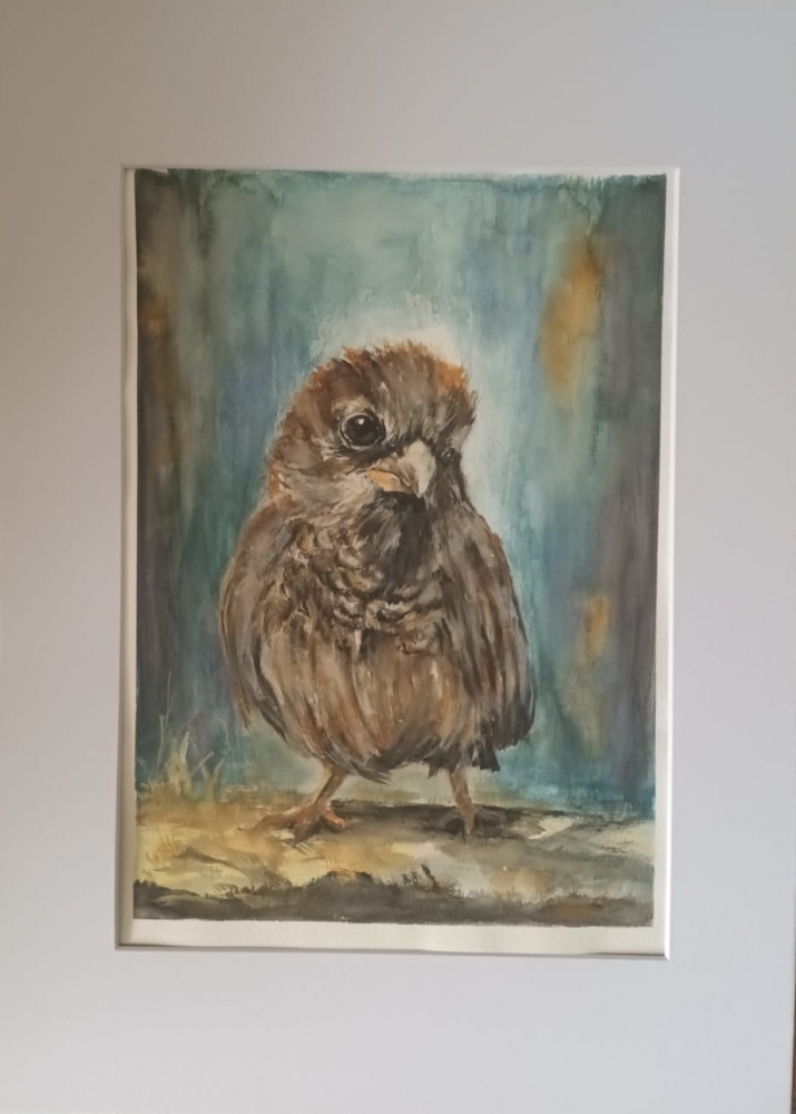 \"Sparrow Study\"