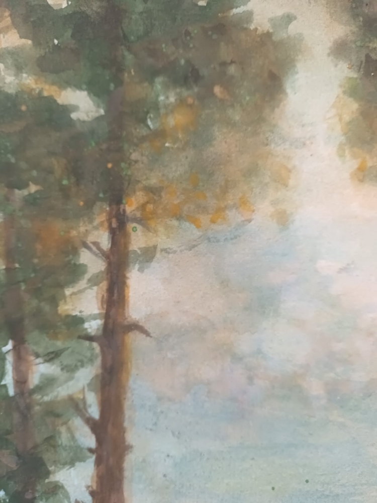 \"morning Veil\"