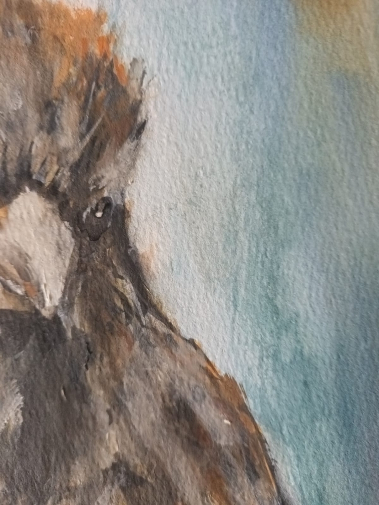 \"Sparrow Study\"