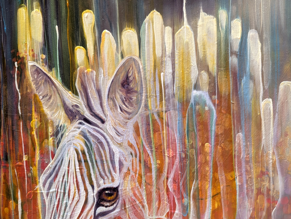 Zebra Queen