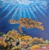 Underwater Sea Turtle 