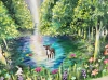 Magical forest 