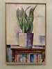 Sansevieria laurentii