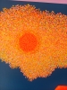 SUNSET VORTEX