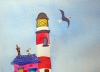 Seagull Seranade