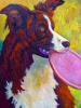 COLLIE WITH FRISBEE AT SUNSET