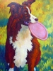 COLLIE WITH FRISBEE AT SUNSET