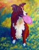 COLLIE WITH FRISBEE AT SUNSET