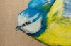 Blue Tit on the Wing
