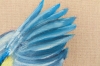 Blue Tit on the Wing