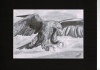 Golden Eagle in flight