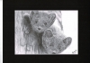 Pine Martens