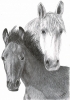 Mother and Child
