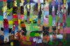 Colourful Woods Trees 681