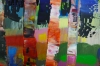 Colourful Woods Trees 681