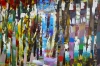 Colourful Woods Trees 688